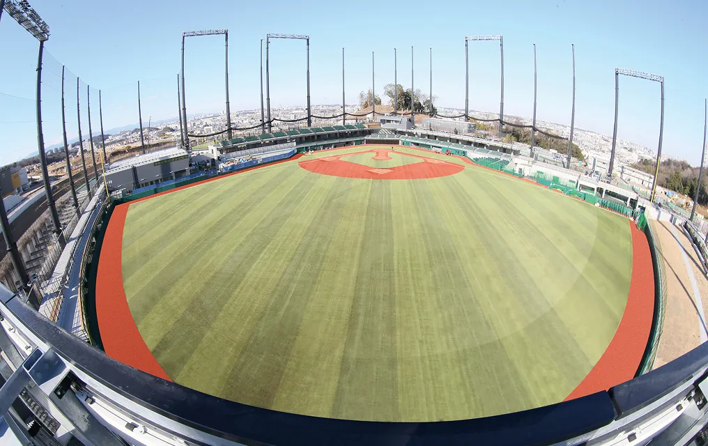 ジャイアンツタウンスタジアム 球場全体 人工芝画像