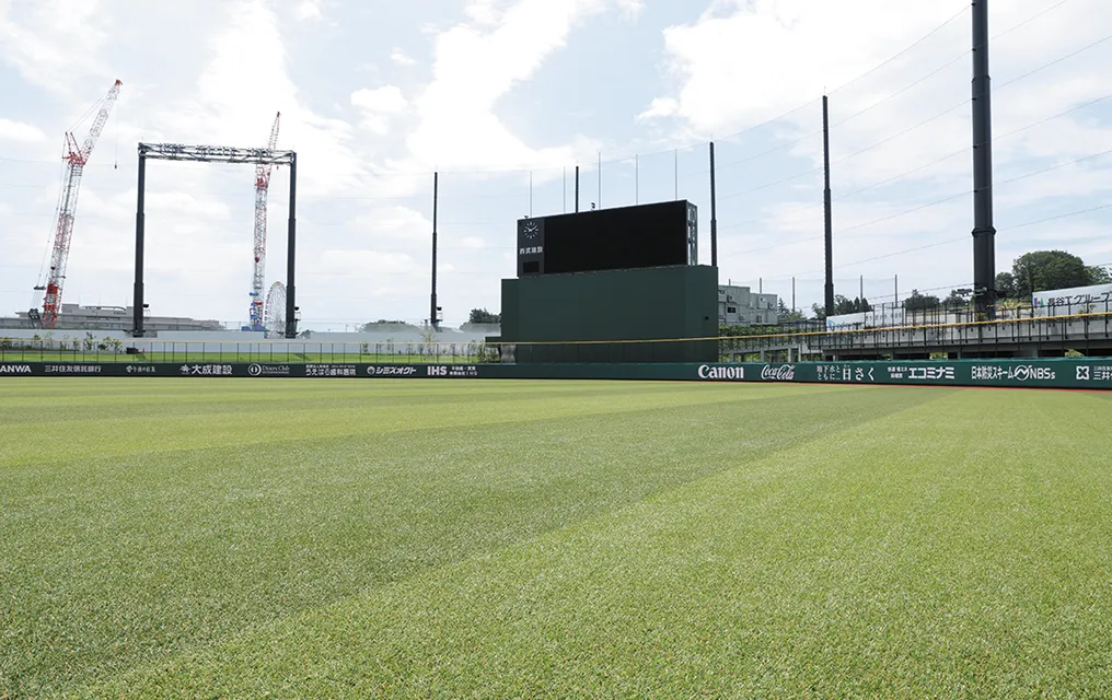 ジャイアンツタウンスタジアム 内野、外野フェアゾーン 人工芝画像
