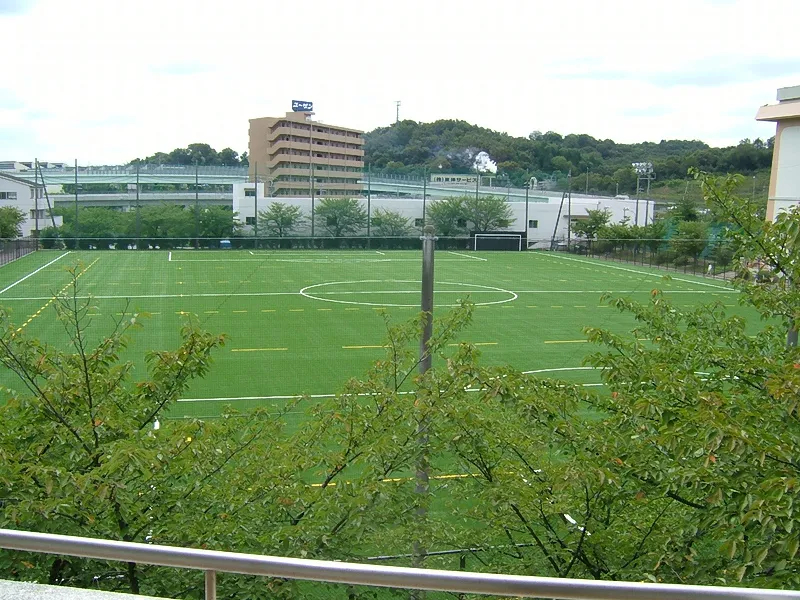 写真 No.2