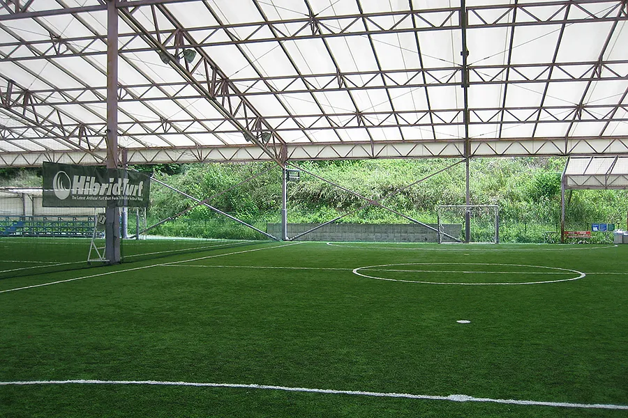 写真 No.2