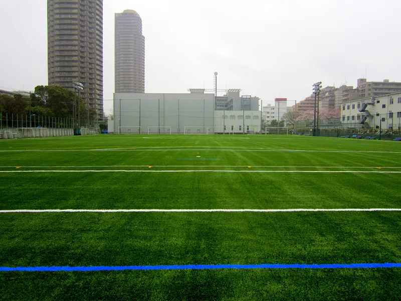 写真 No.2