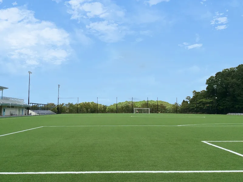 写真 No.2