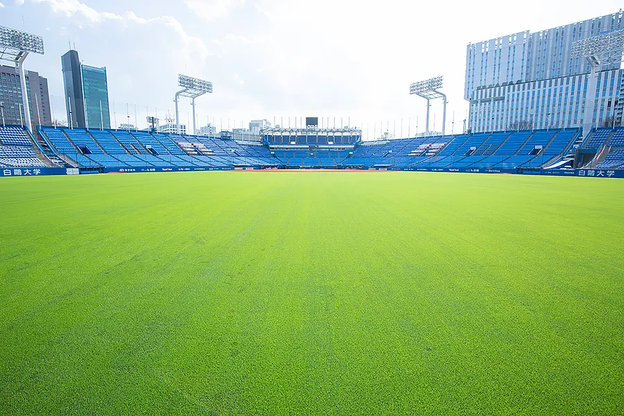 写真 No.5