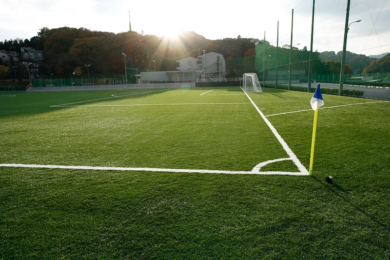 写真 No.4