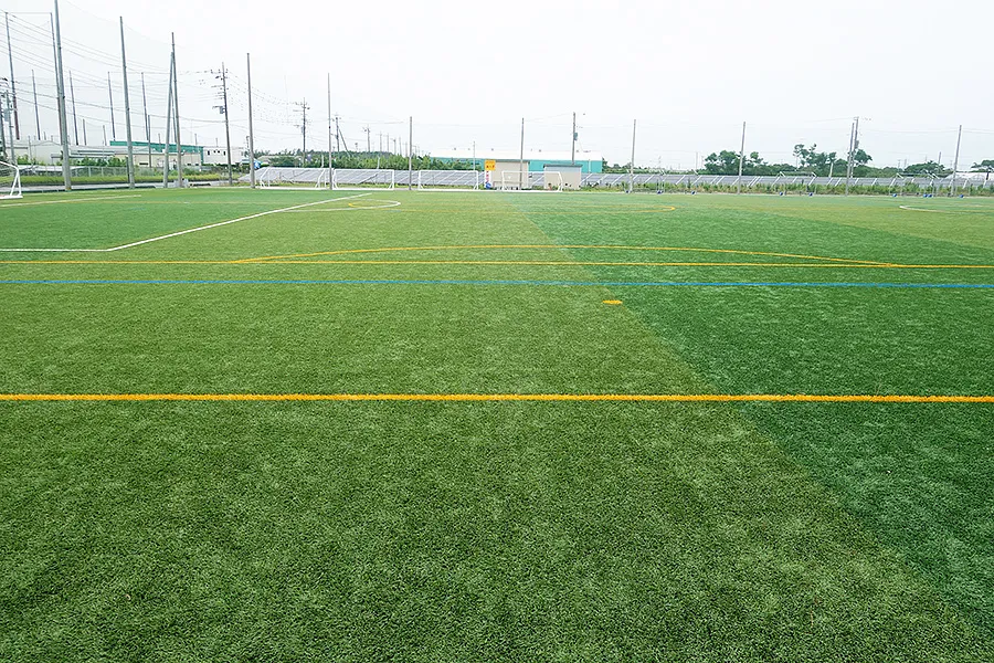 写真 No.1
