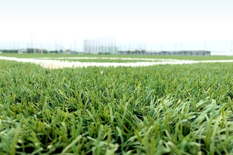 写真 No.5