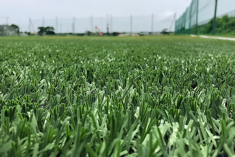 写真 No.6