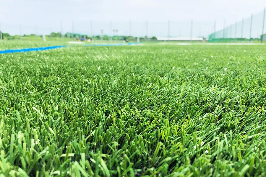 写真 No.5