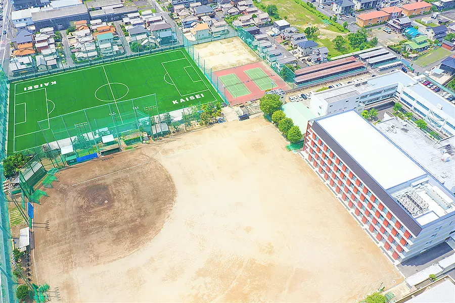 写真 No.5