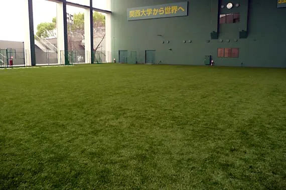写真 No.1