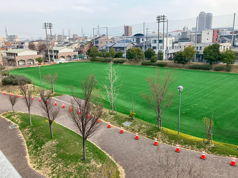 写真 No.1