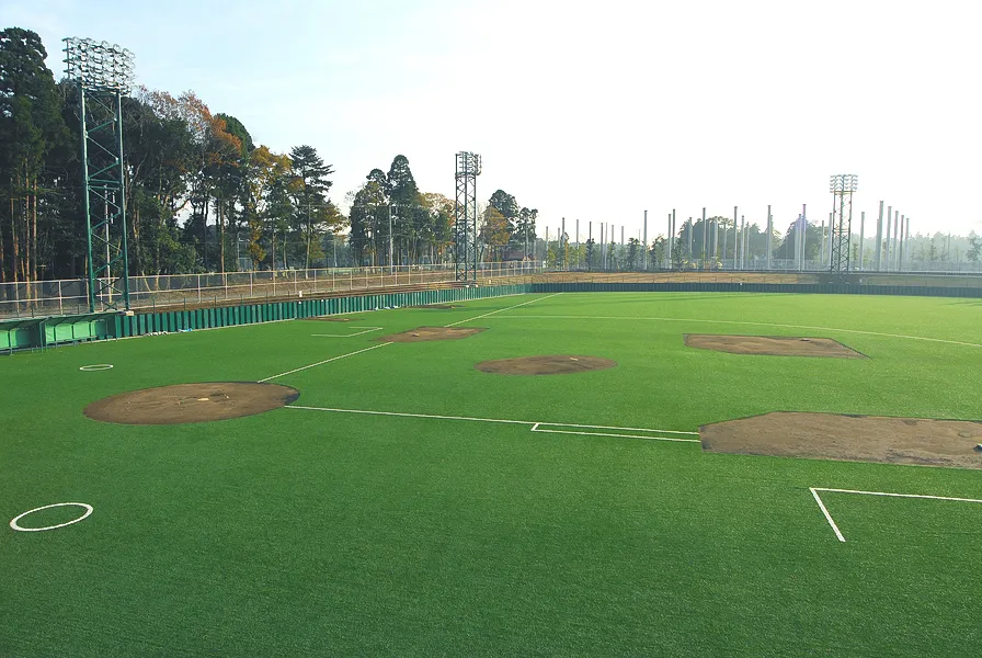 写真 No.5