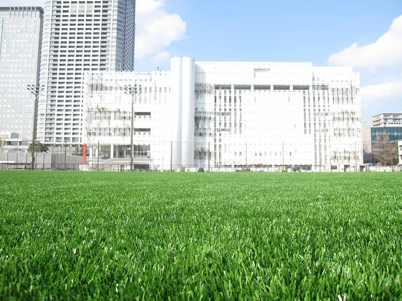 写真 No.3