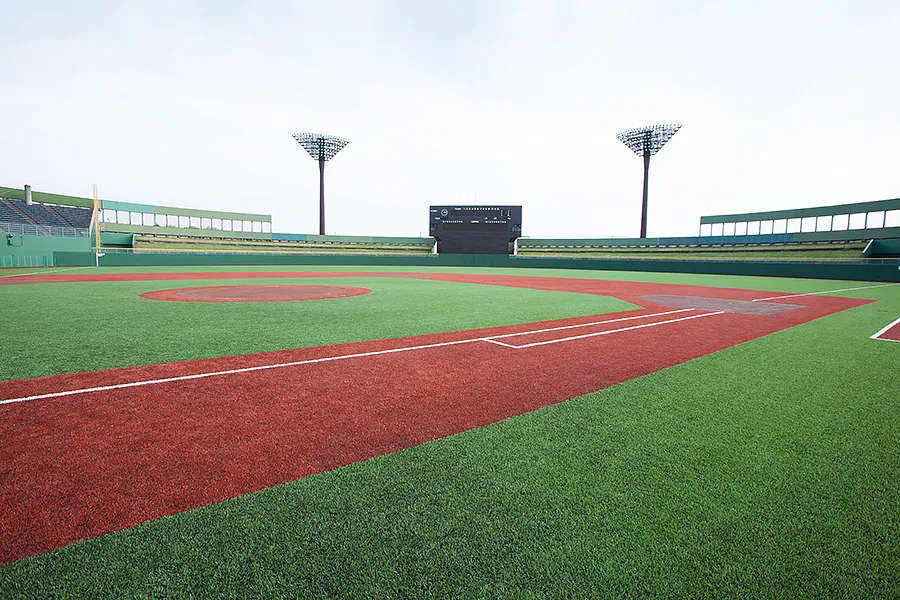 写真 No.5