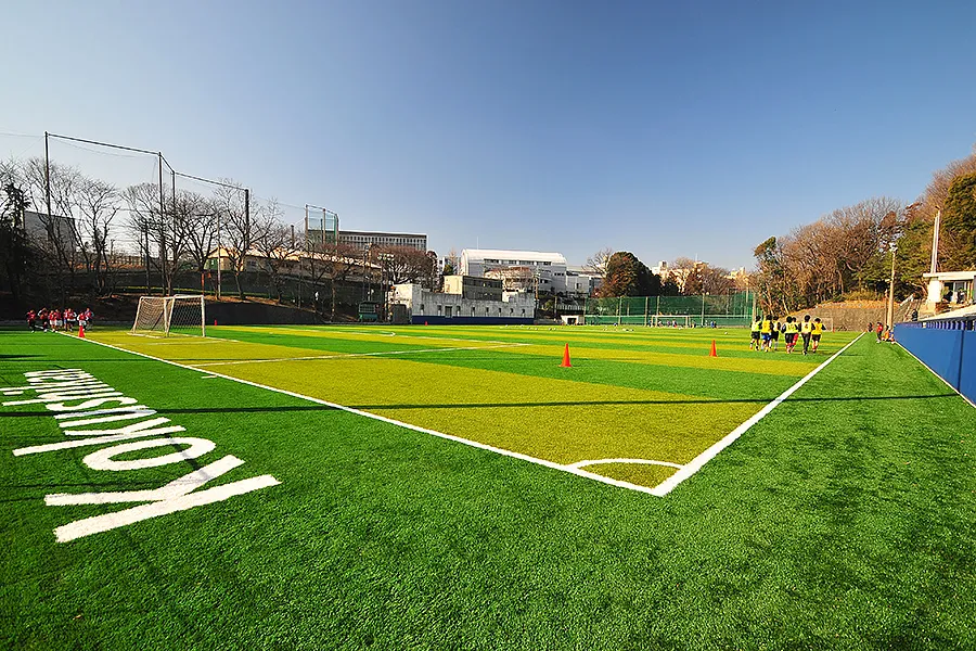 写真 No.2