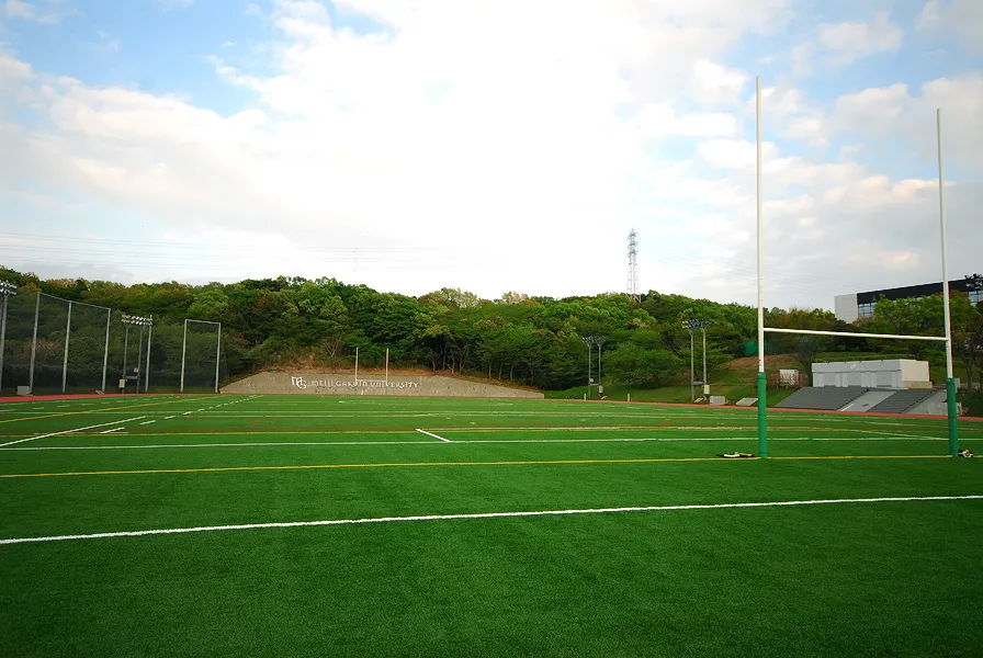 写真 No.1