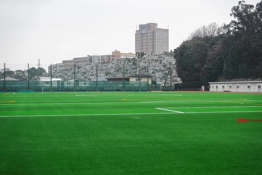 写真 No.3