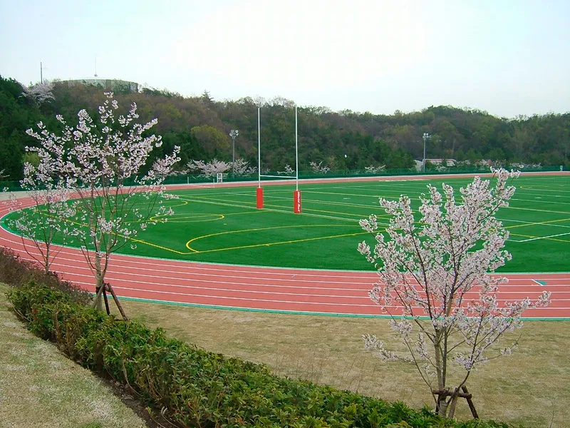 写真 No.1