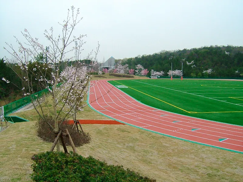 写真 No.3