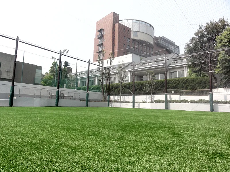 写真 No.1