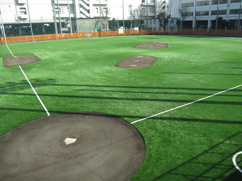 写真 No.1