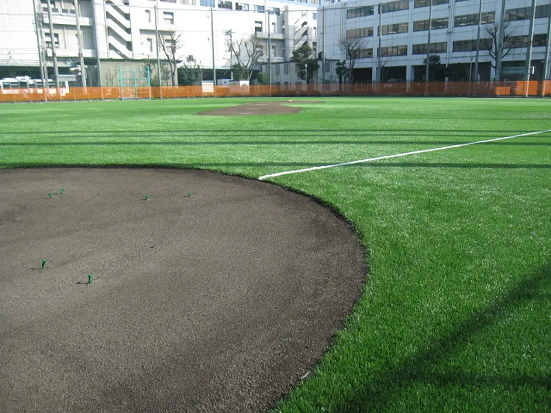 写真 No.3