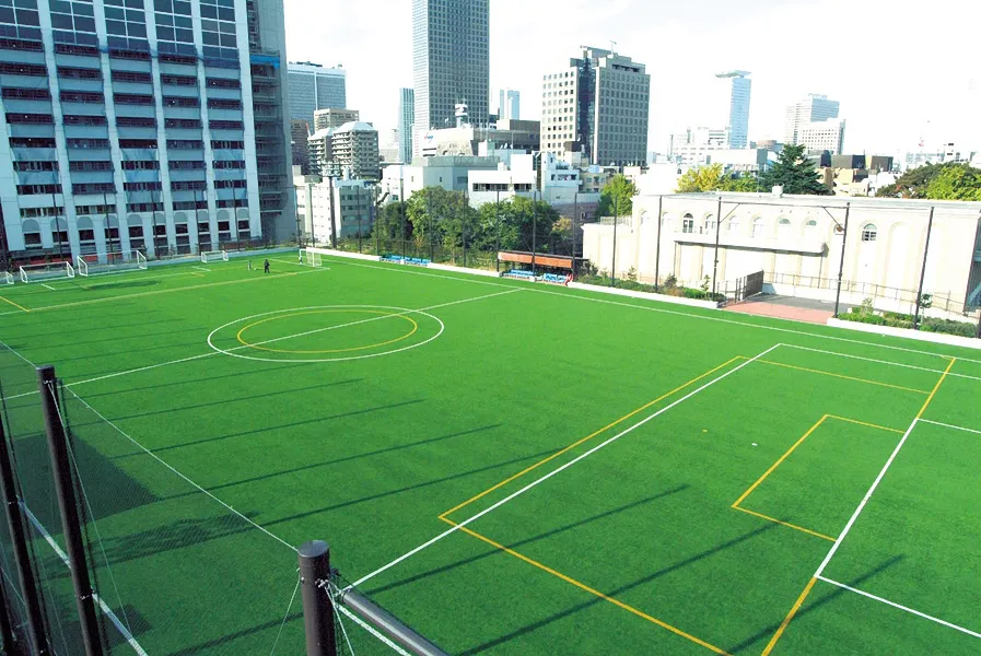写真 No.1