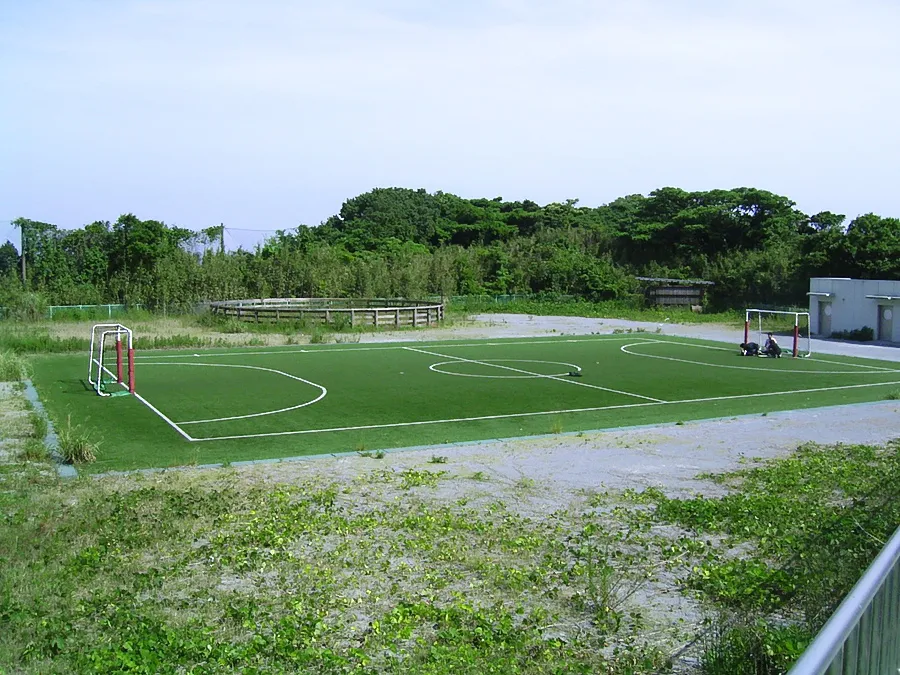 写真 No.4
