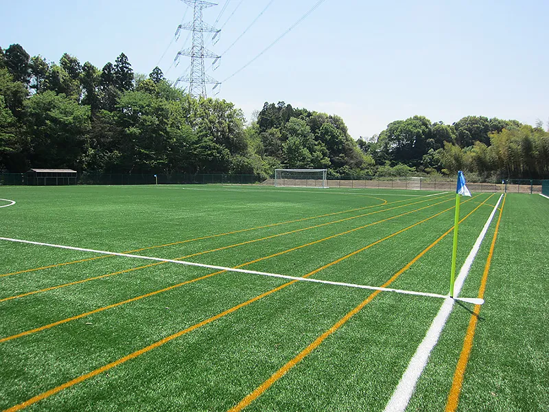 写真 No.1