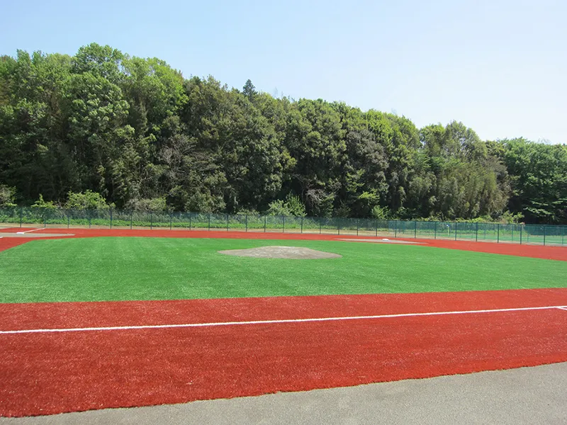 写真 No.3