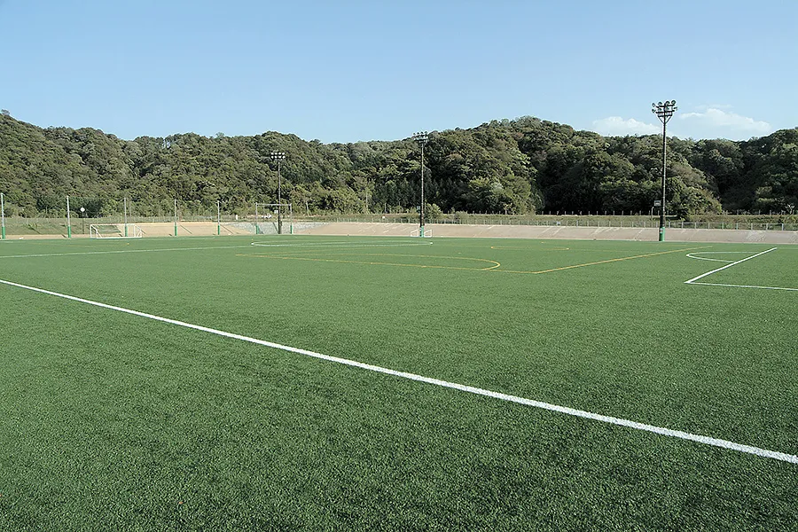 写真 No.3