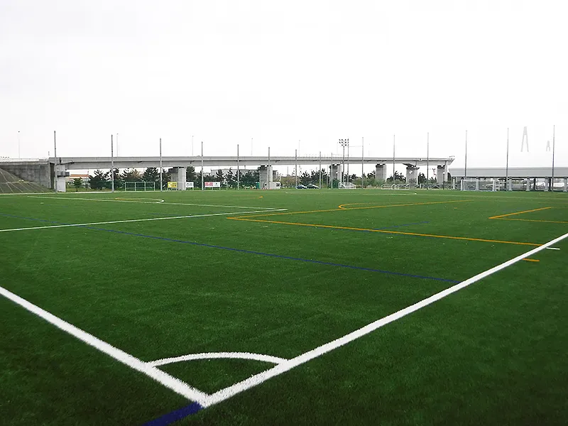 写真 No.2
