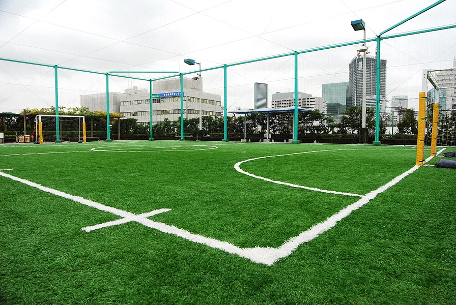 写真 No.5