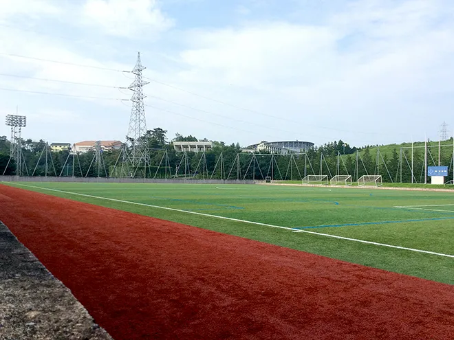 写真 No.2