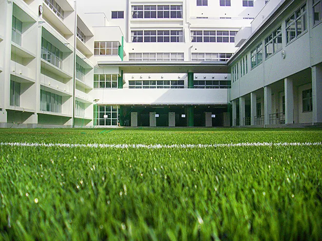 写真 No.2