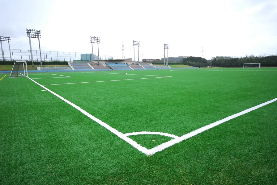 写真 No.3