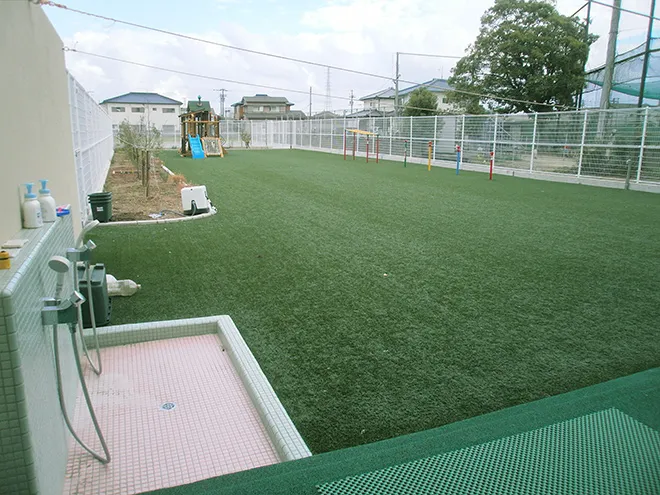 写真 No.2