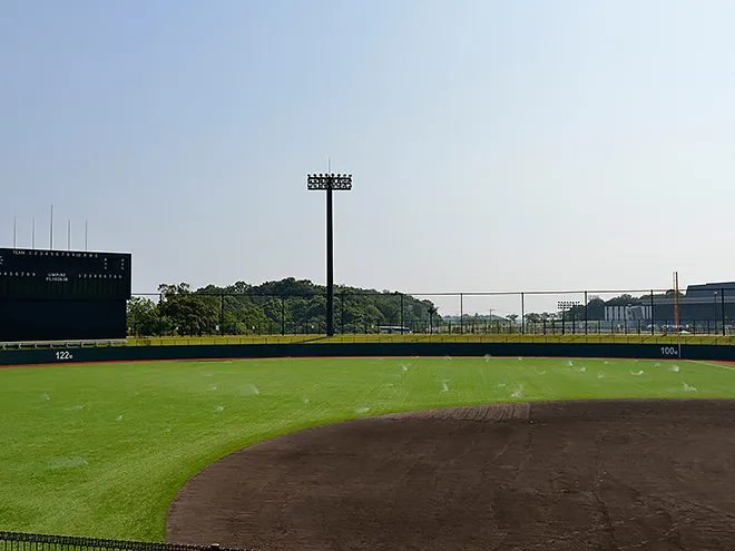 写真 No.6