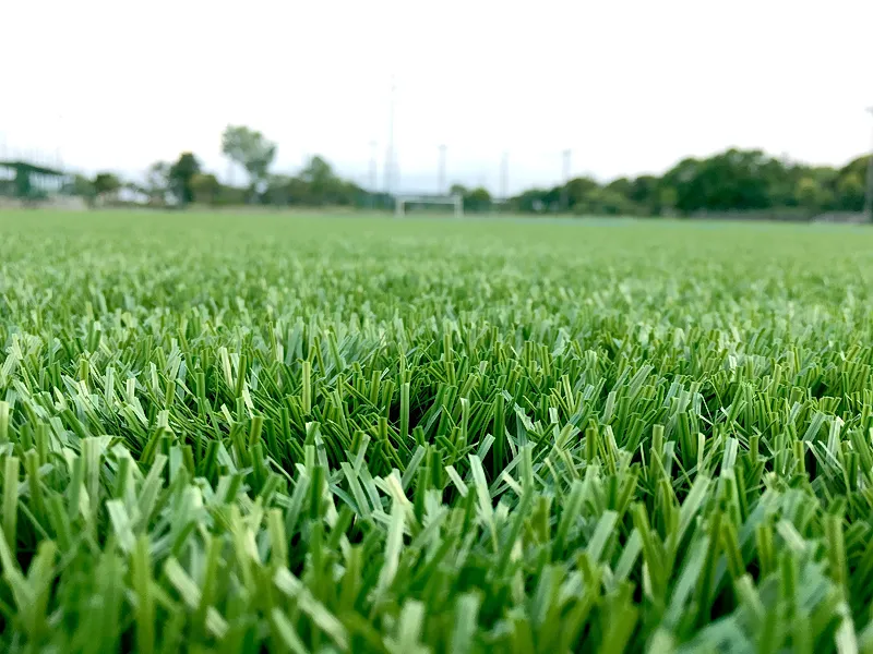 写真 No.4