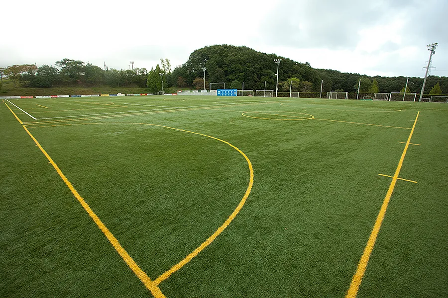 写真 No.1