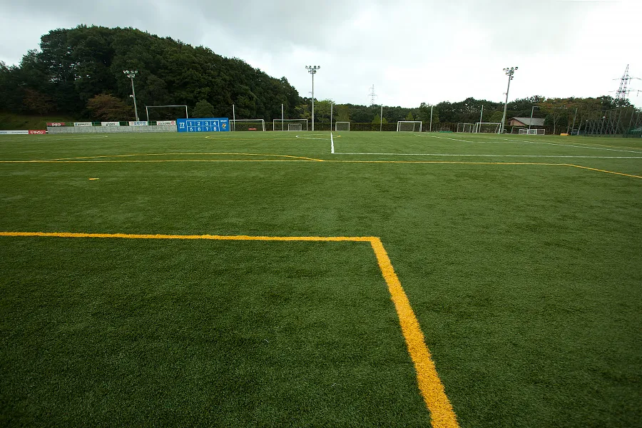 写真 No.2