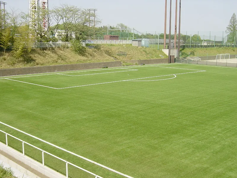 写真 No.1