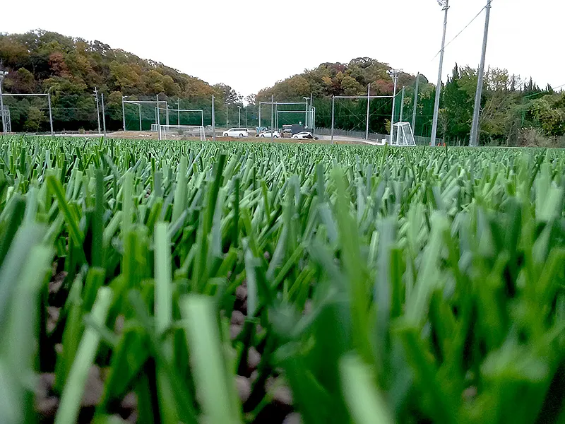 写真 No.4