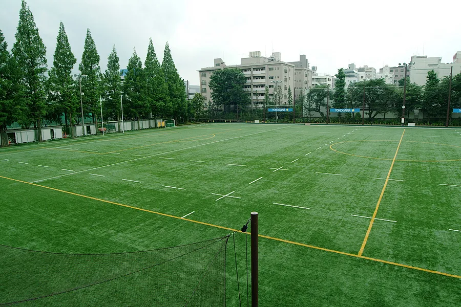 写真 No.2