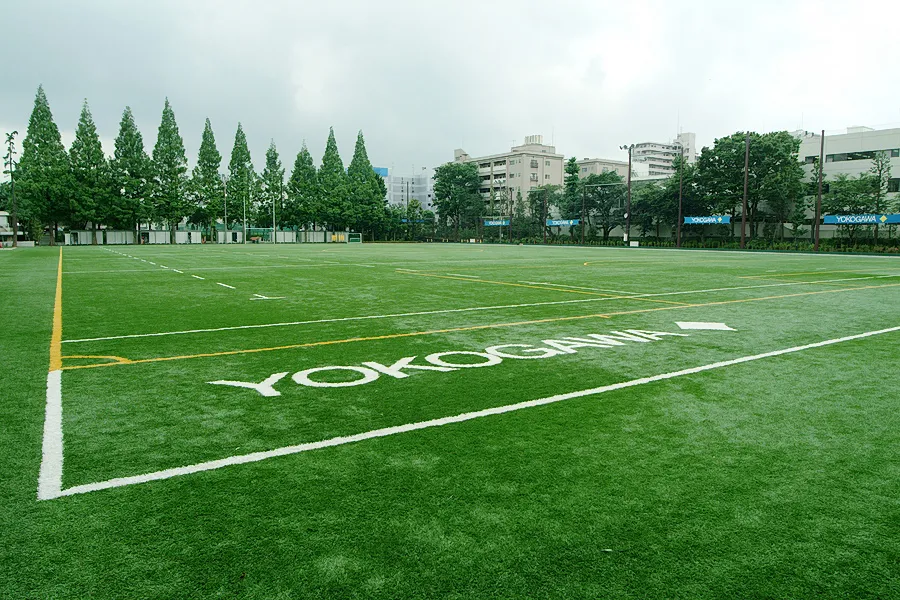 写真 No.3