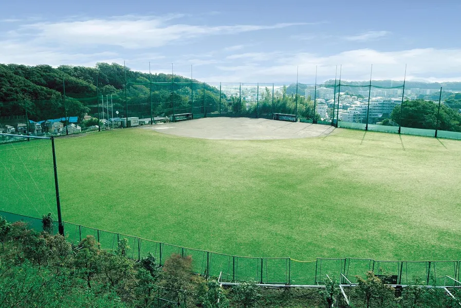写真 No.2