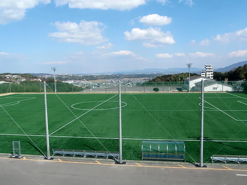 写真 No.2