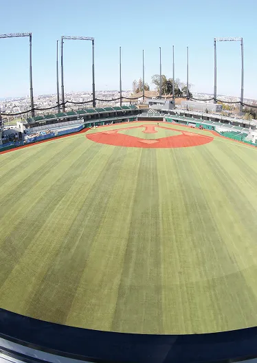 ジャイアンツタウンスタジアム