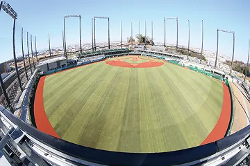 読売新聞オンラインに当社の天然素材充填材の取組が紹介されました