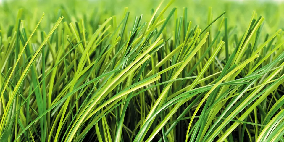 ハイブリッドターフREXの表面画像